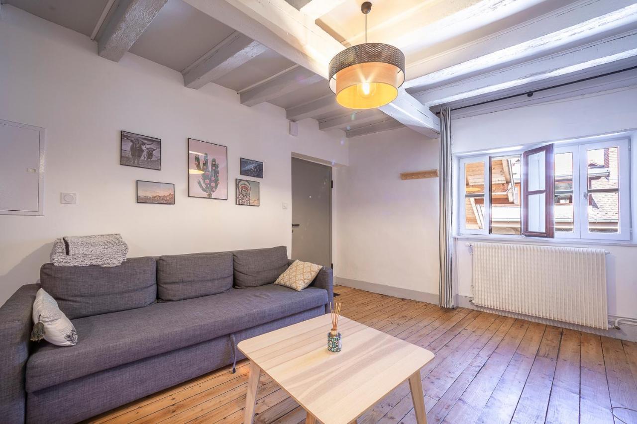 Bel Appartement, 2 Chambres, Annecy Coeur De Ville Exteriér fotografie